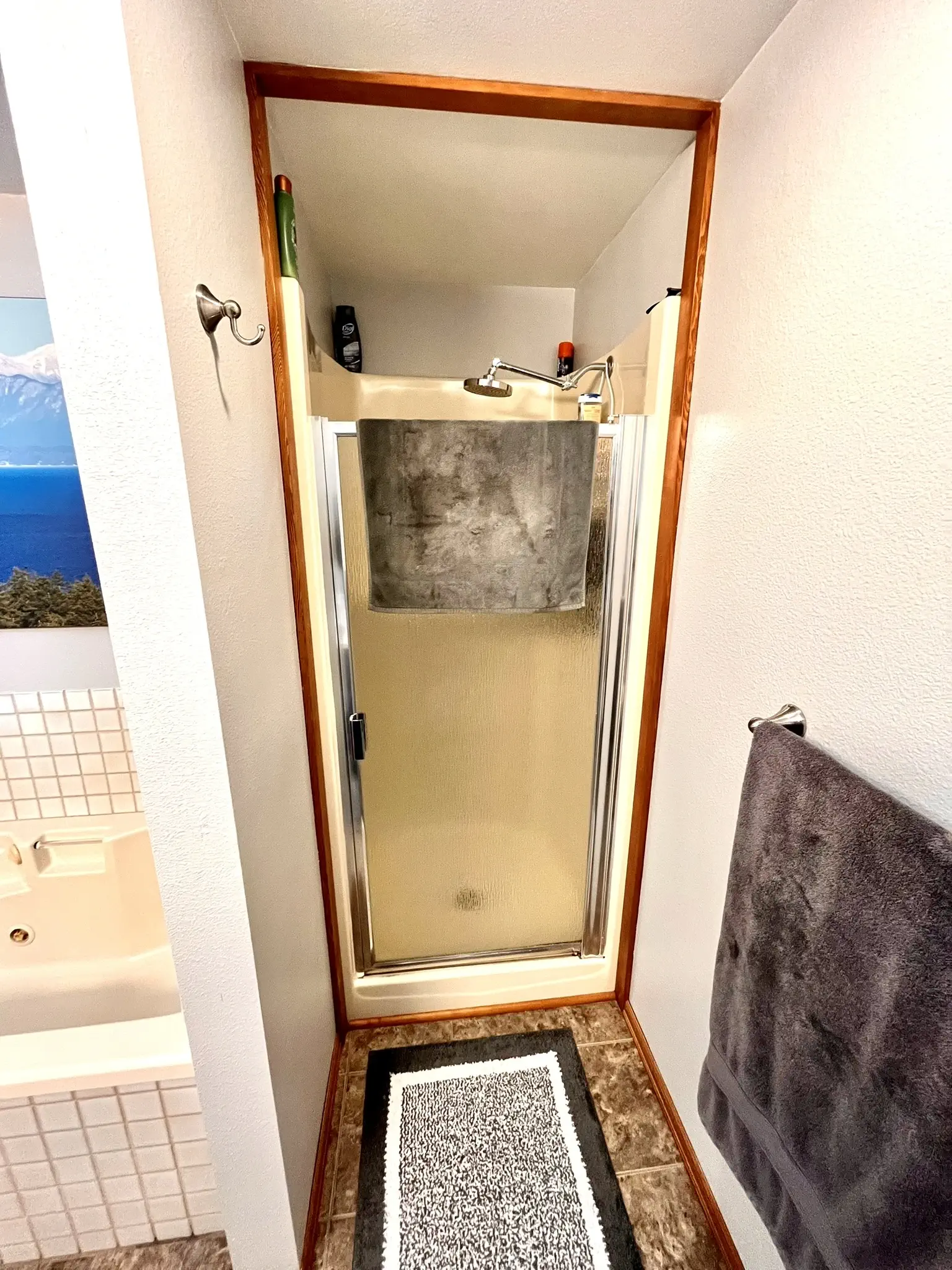bathroom before